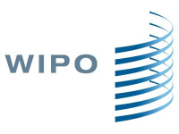 Вебинар Всемирной организацией интеллектуальной собственности (WIPO) в МГЛУ