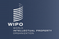 Webinar by the World Intellectual Property Organization (WIPO) at MSLU